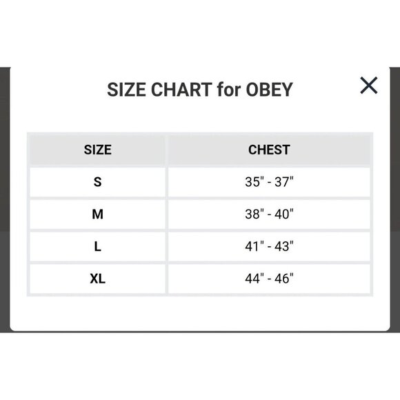 OBEY FLY AWAY PULLOVER HOODIE - Picture 12 of 12